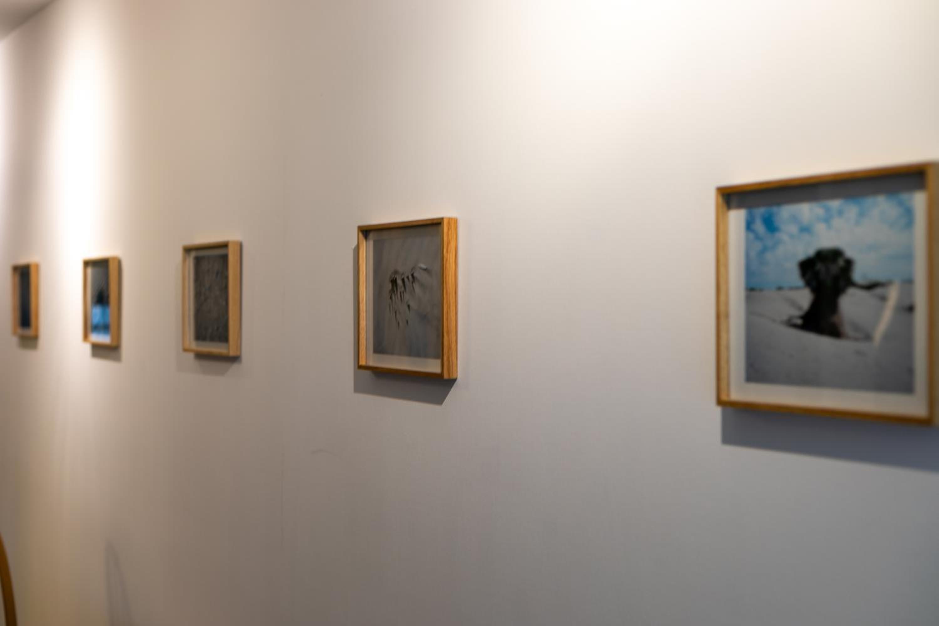 La Fotografia Bianco
