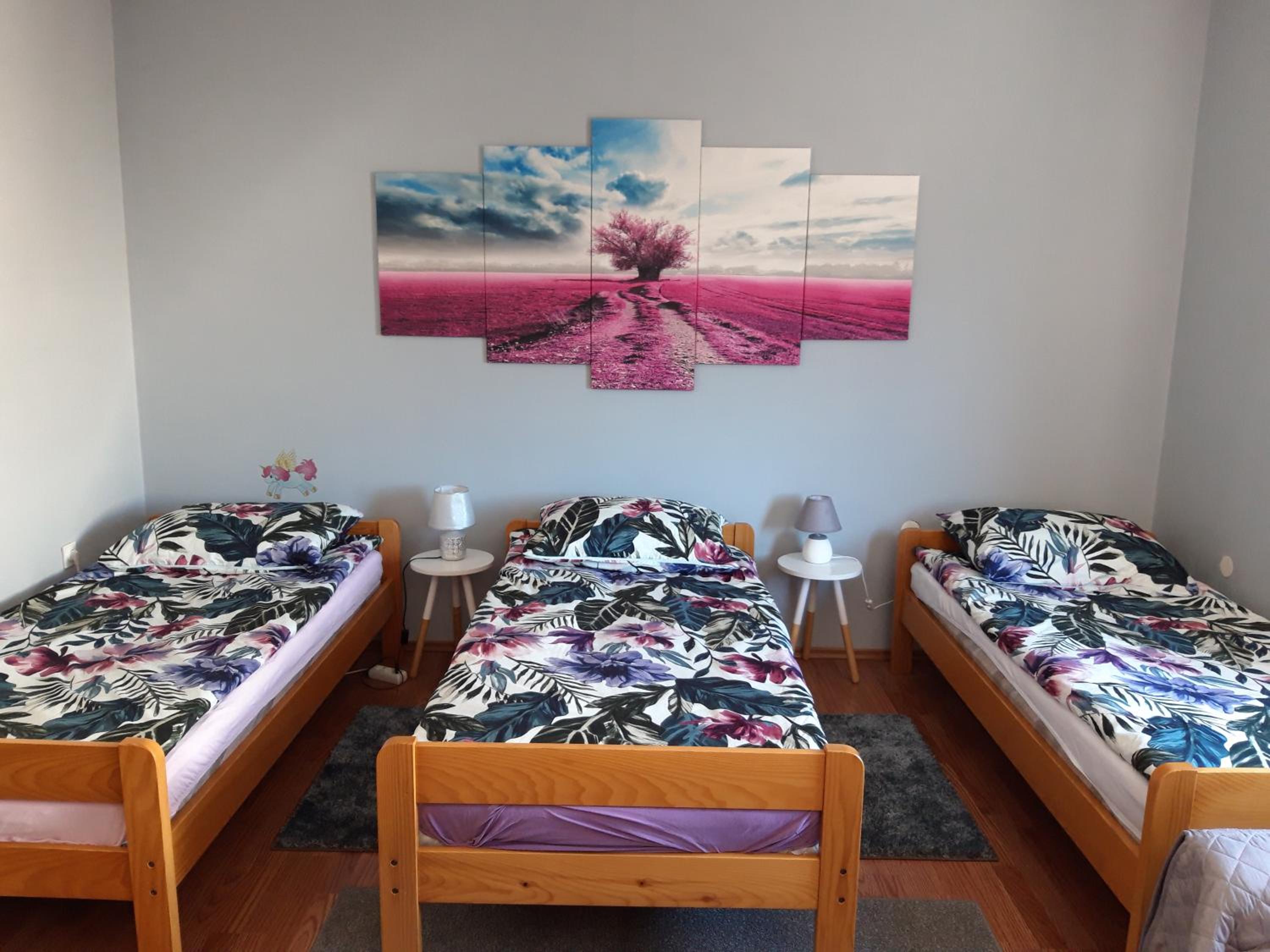 Studio apartman CENTAR view 2