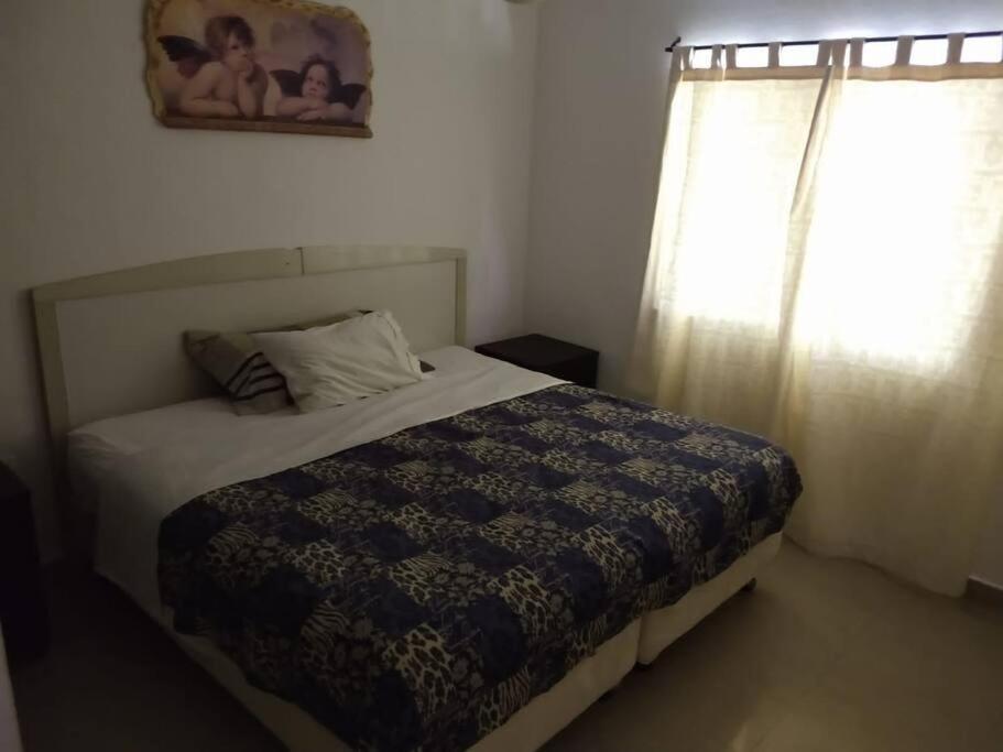 La casa delfines
