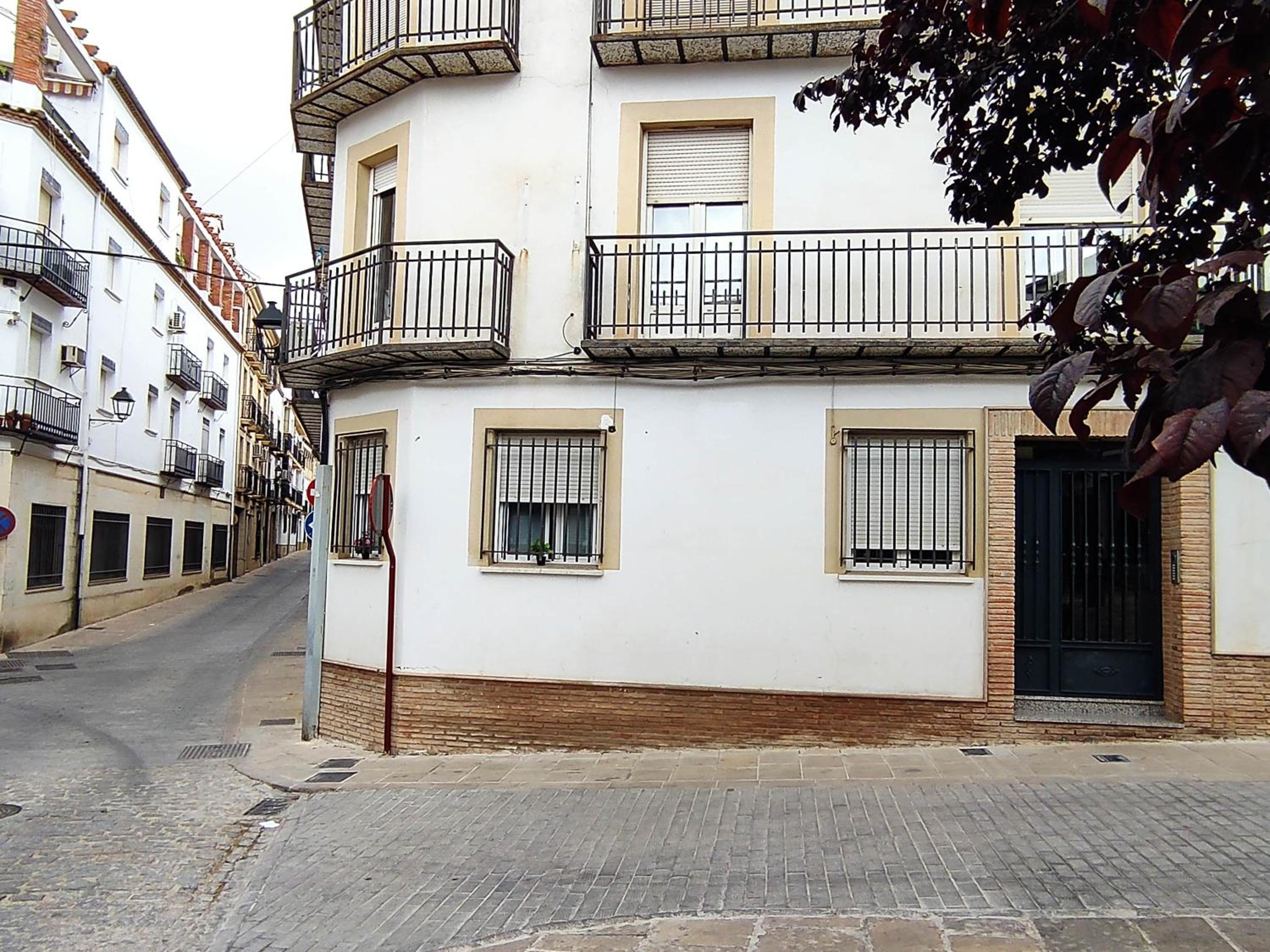 Plaza Samaniego