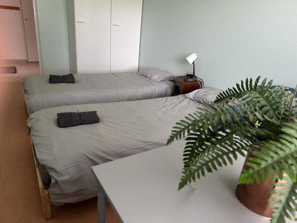 Lepopaikka Lokinpesä, Majoitus ja Camping
