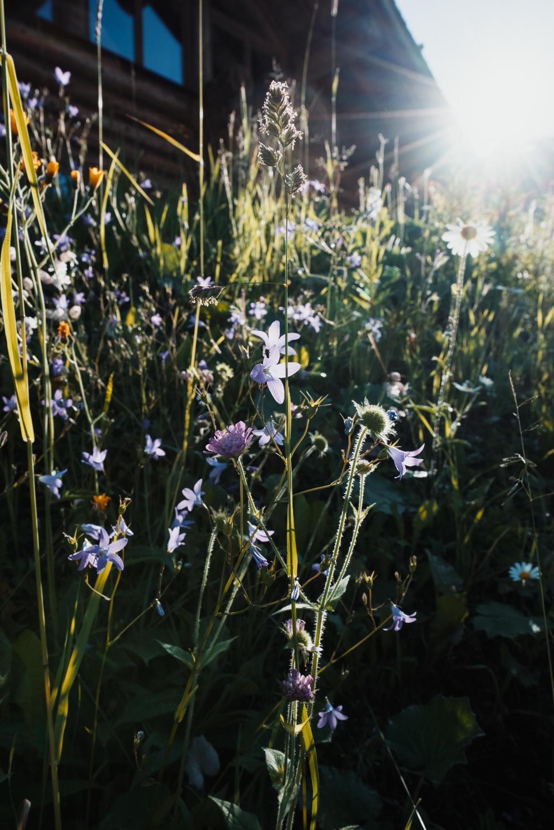 Mei Zeit Hüttendorf