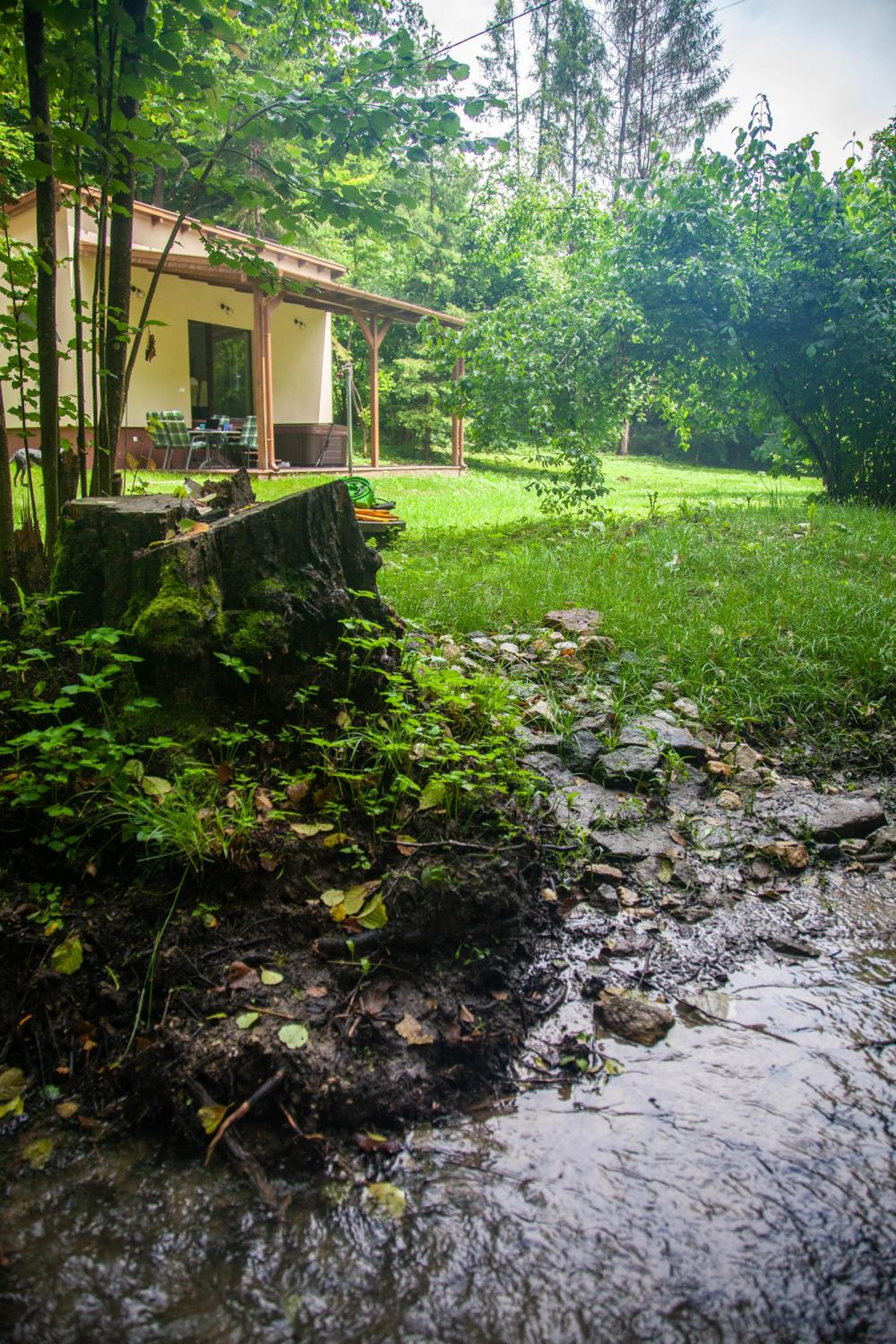 Vízfő Kabin view 3