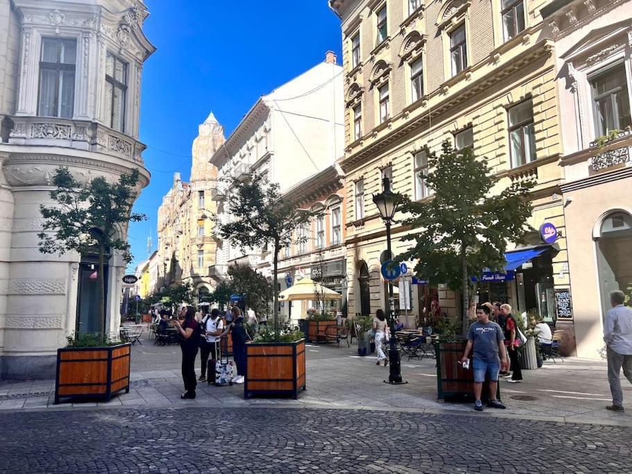Opera Apartment Budapest with Three Bedroom w AC view 5