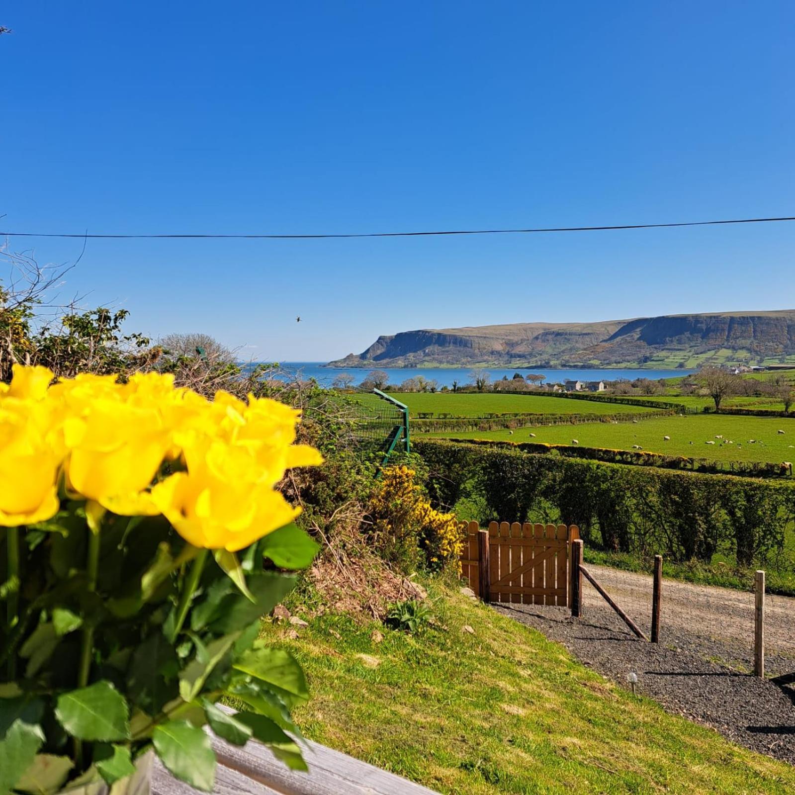 Glens glamping view 4