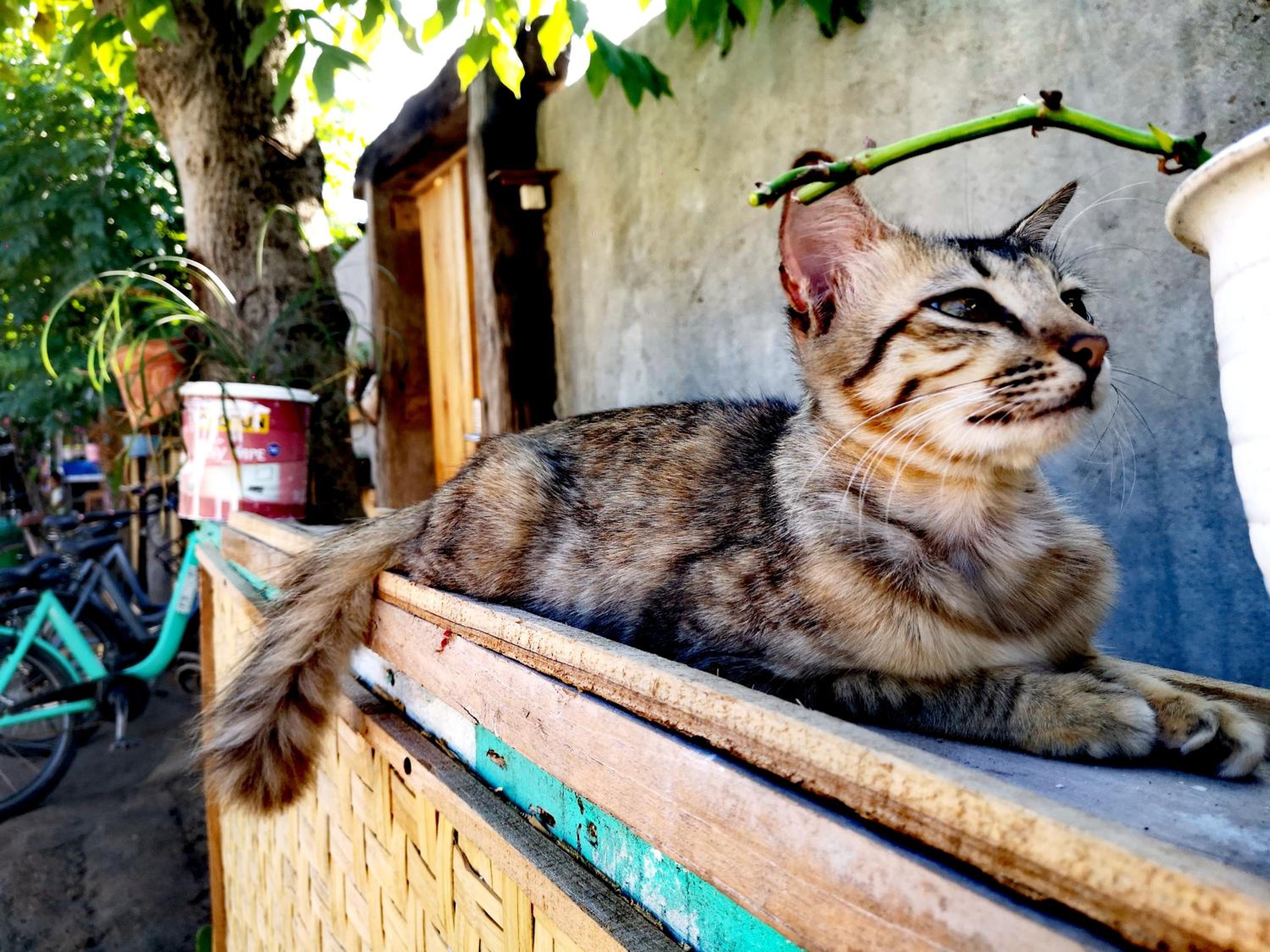 Villa la vida