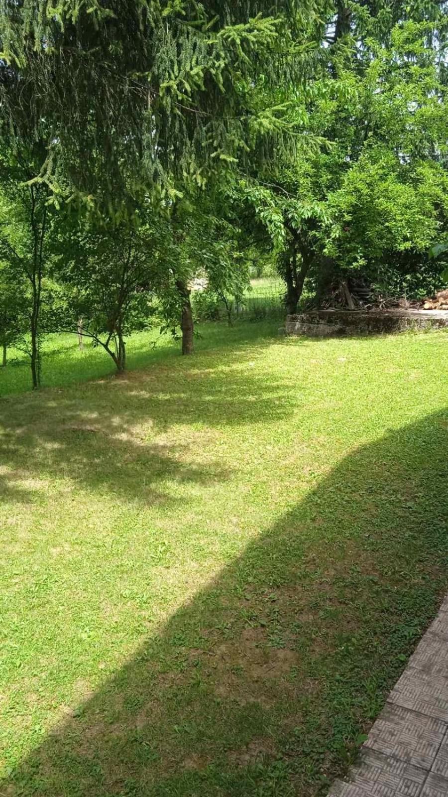 Vila Oaza mira