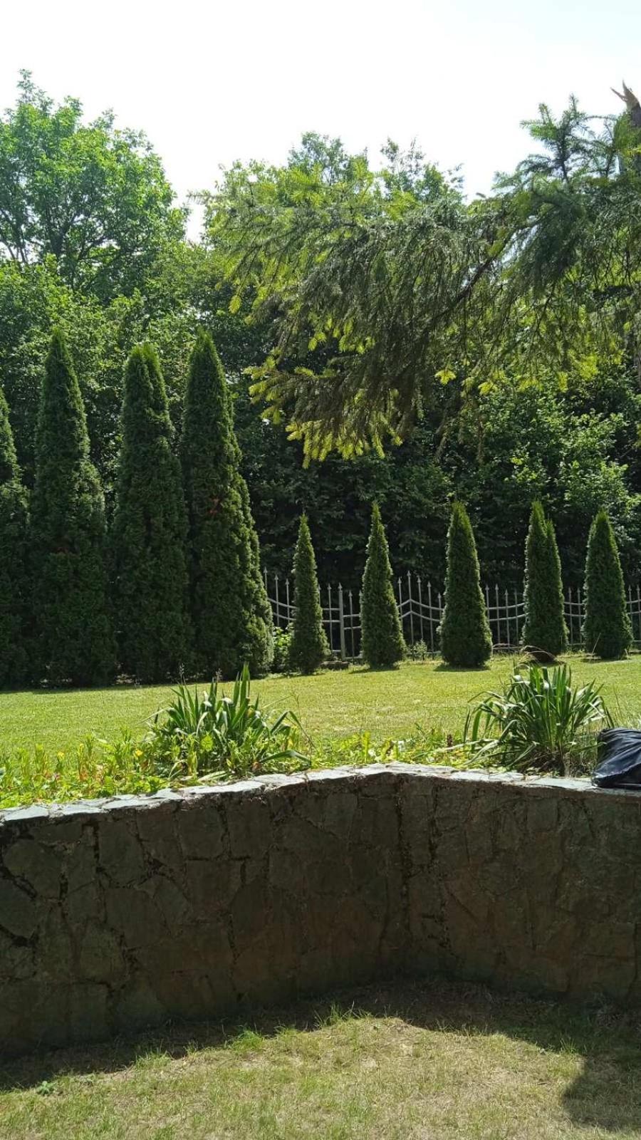 Vila Oaza mira