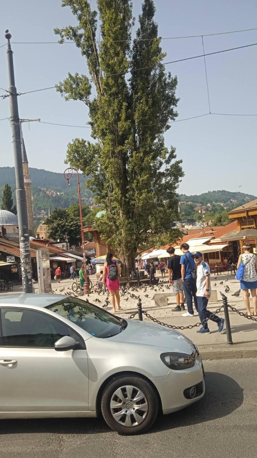 Vila Oaza mira