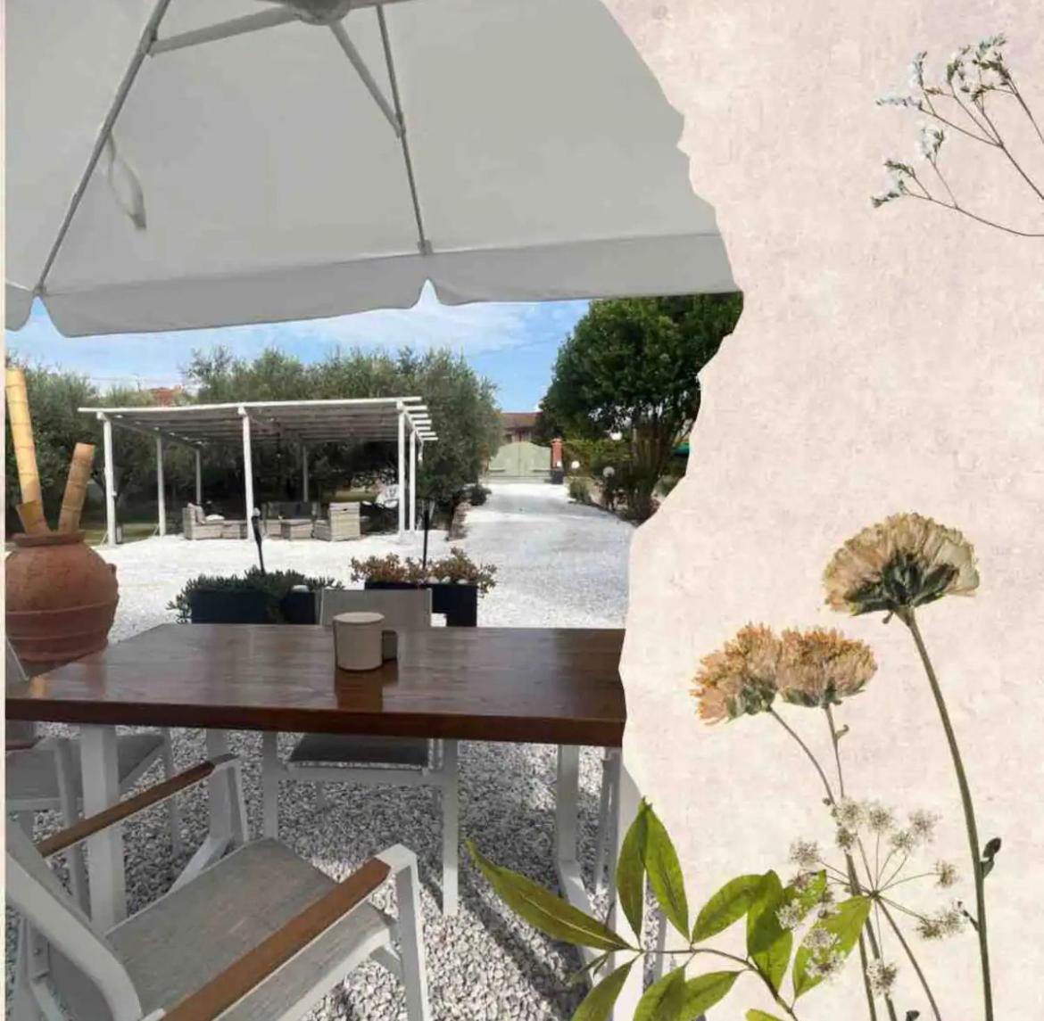 Villa Versilia-Mare e Monti view 3