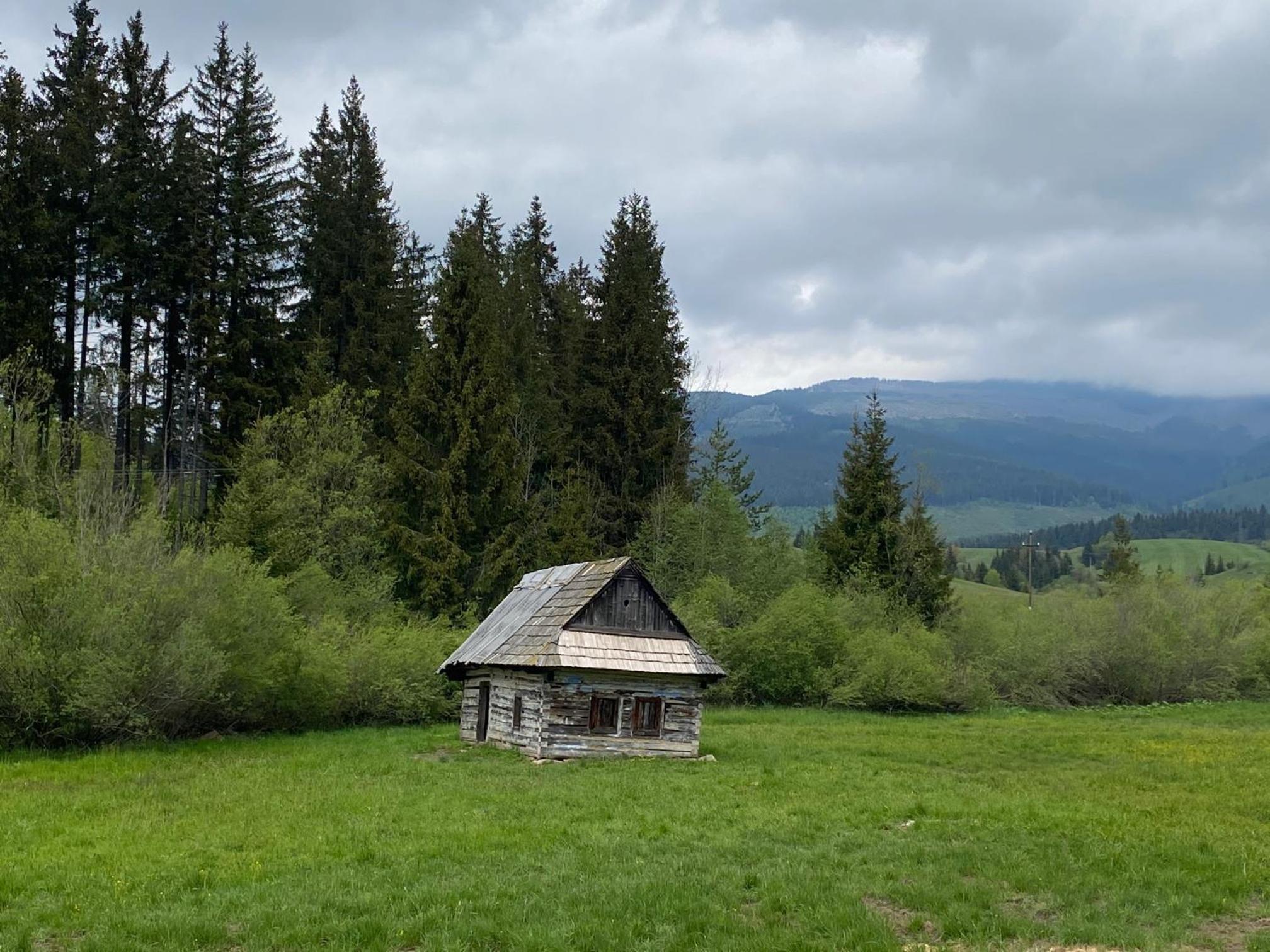 Photo 44