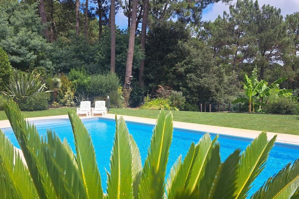 Villa Luxe piscine chauffée, 4 chambres, surplombant le golf entre océan & lac Plage à 5 min