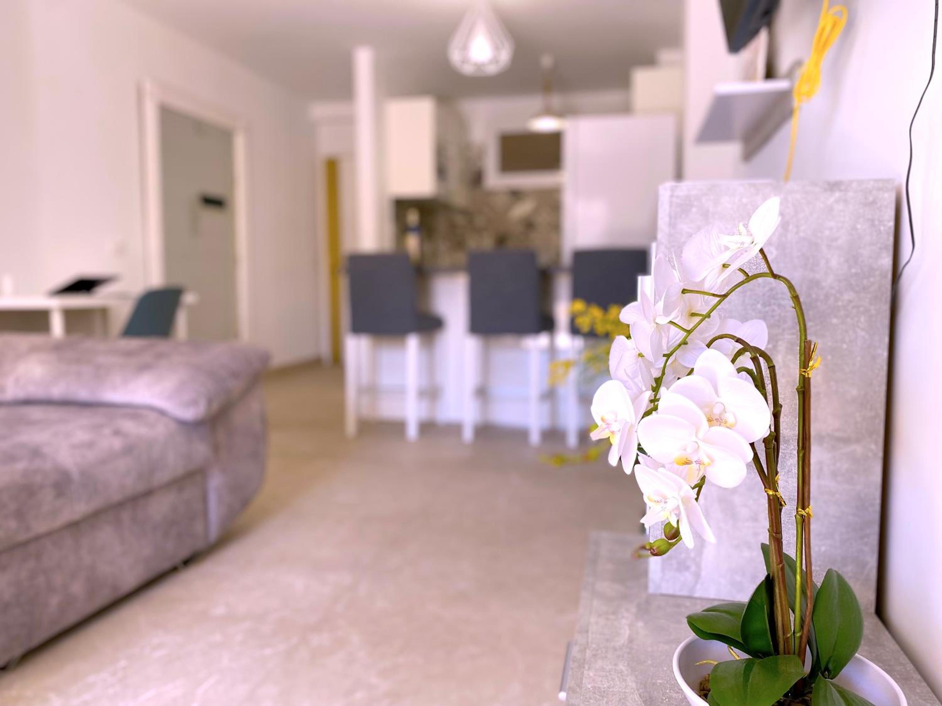 Los Cristianos Suite Alma Homes