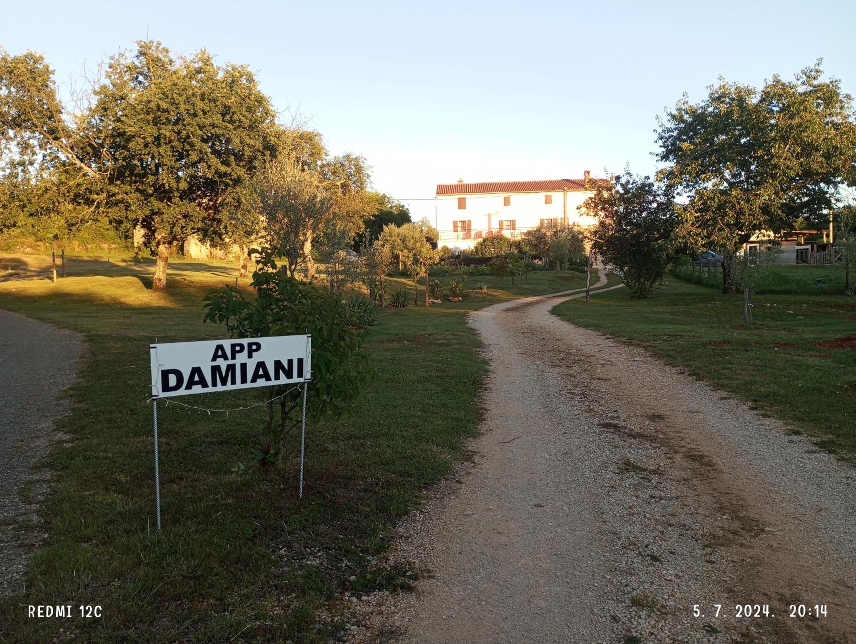App Damiani view 2
