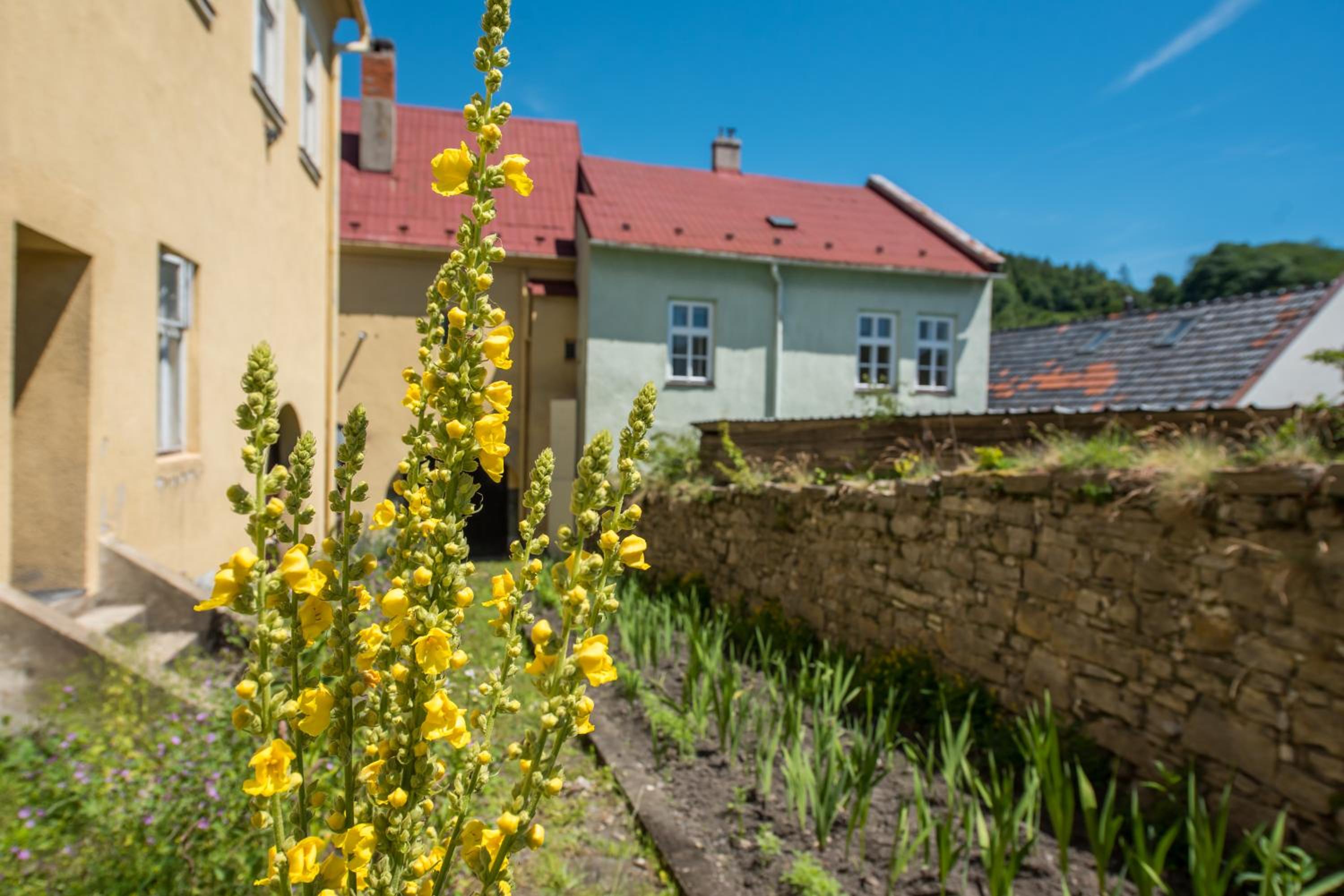 Apartmány Pod starou věží