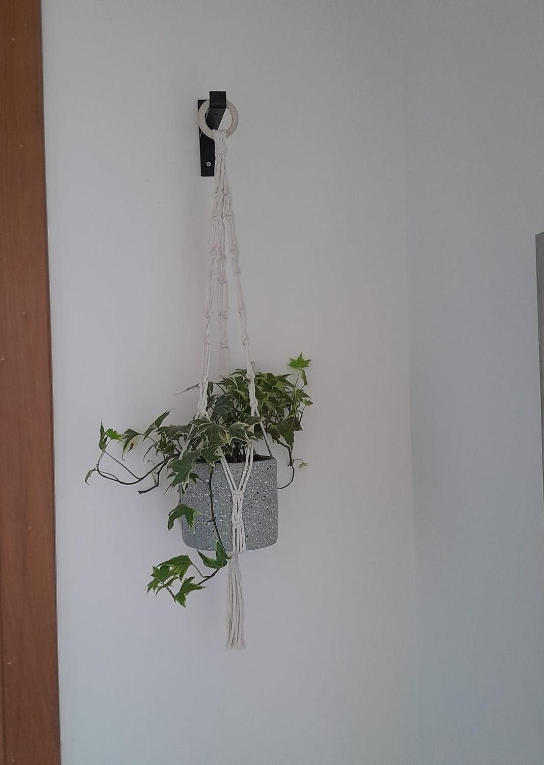 Casa Vacanza da Giggino photo 4