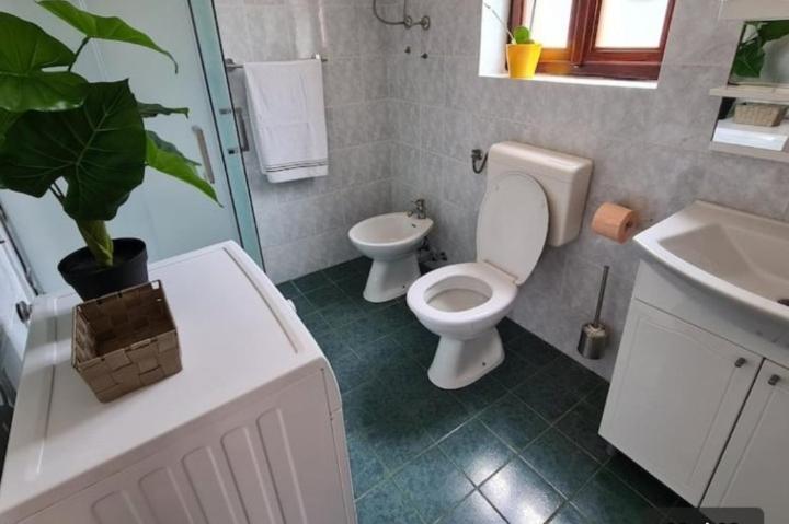 Apartment Sofia