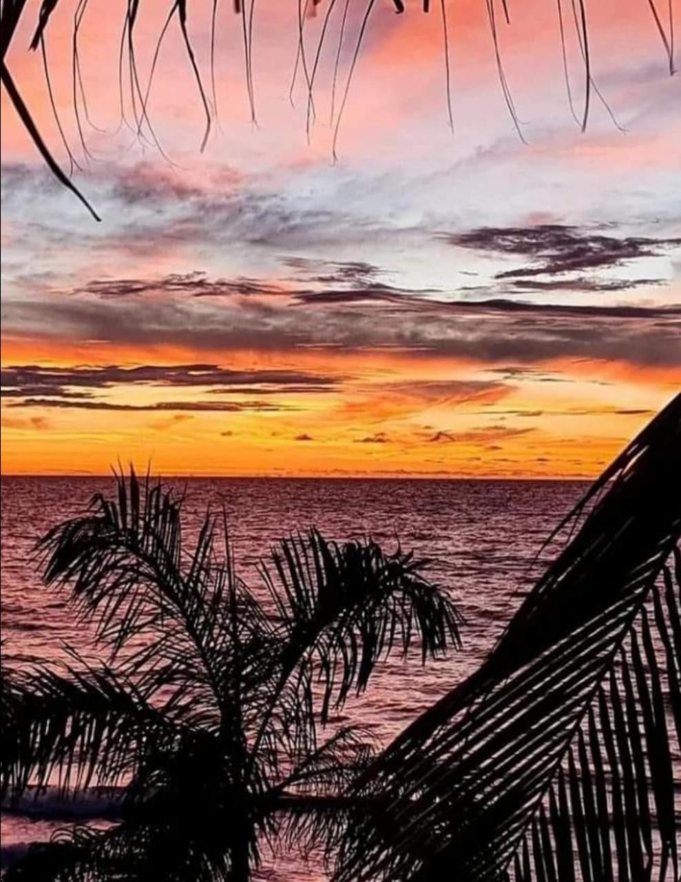 Hostal CORALES
