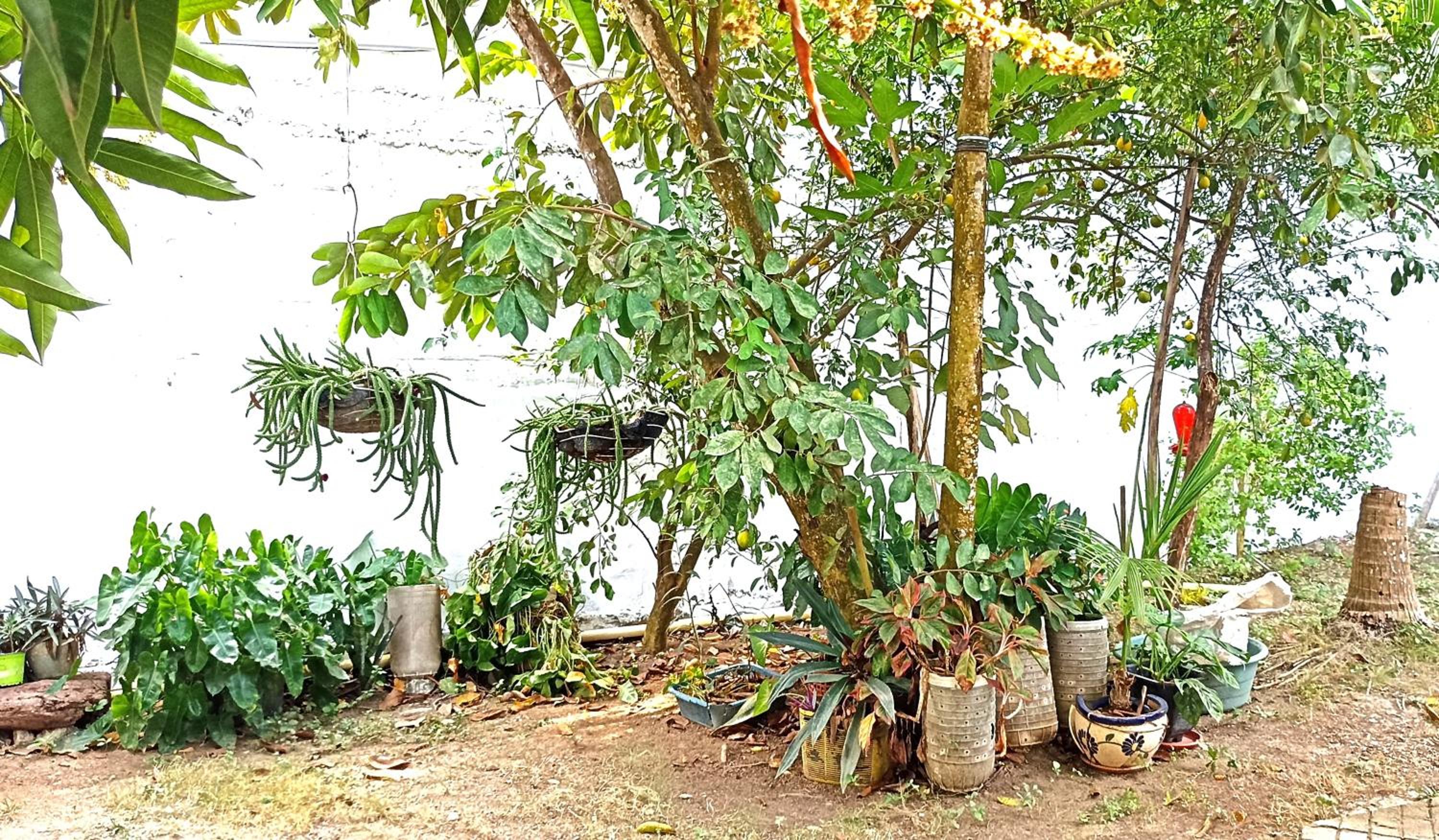 Hostal CORALES