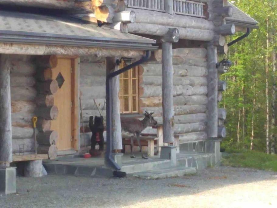 Elegant and Cosy Log Lodge Villa Aurora