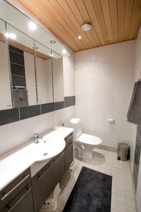 Elegant and Cosy Log Lodge Villa Aurora