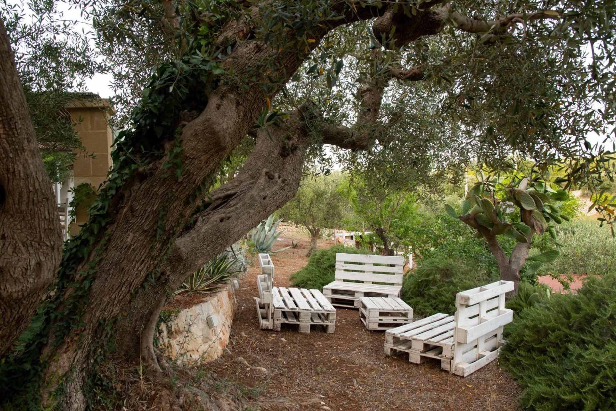 Tenuta Arianna by Perle di Puglia