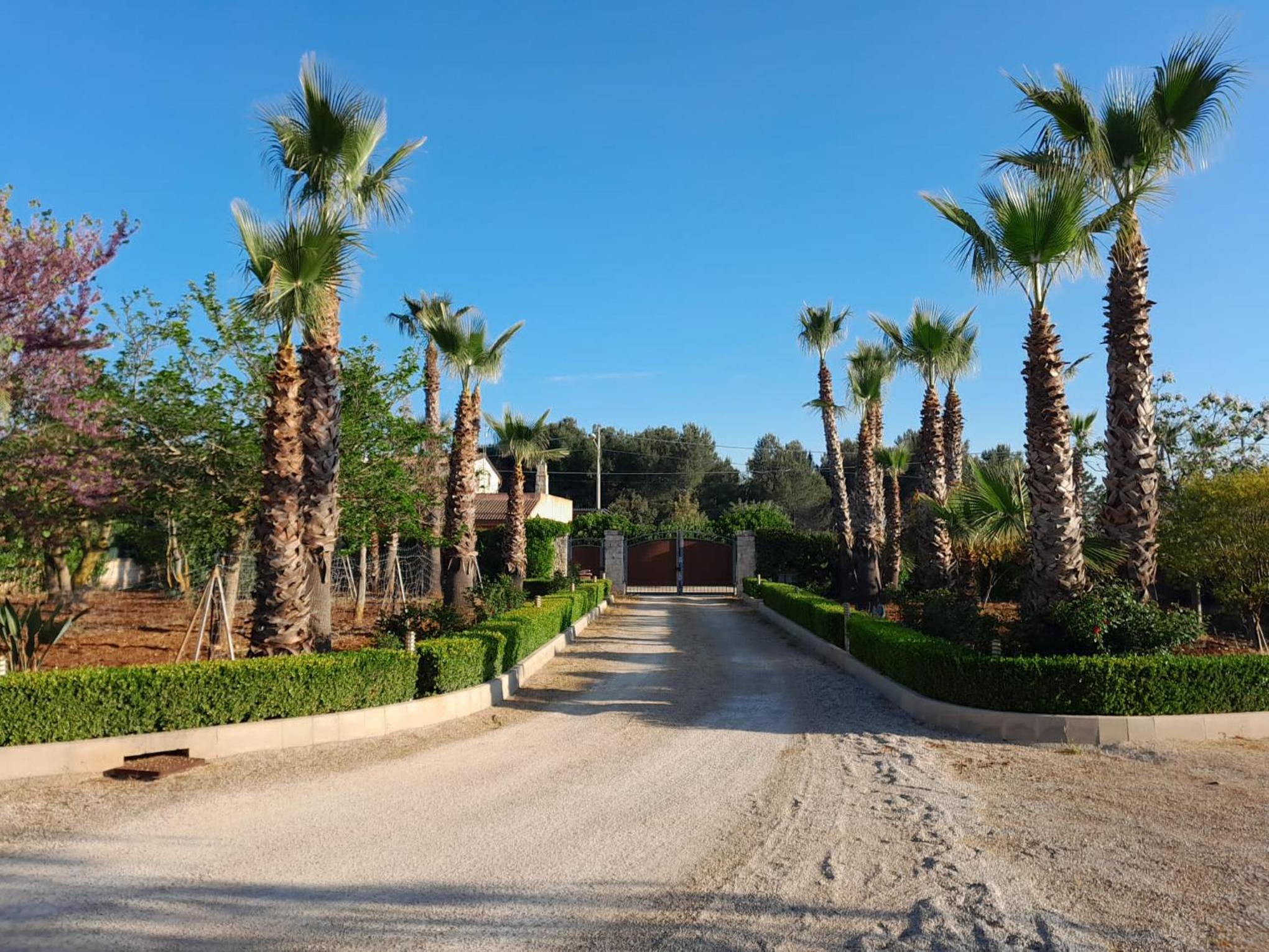 Il Giardino dell'EDEN view 5