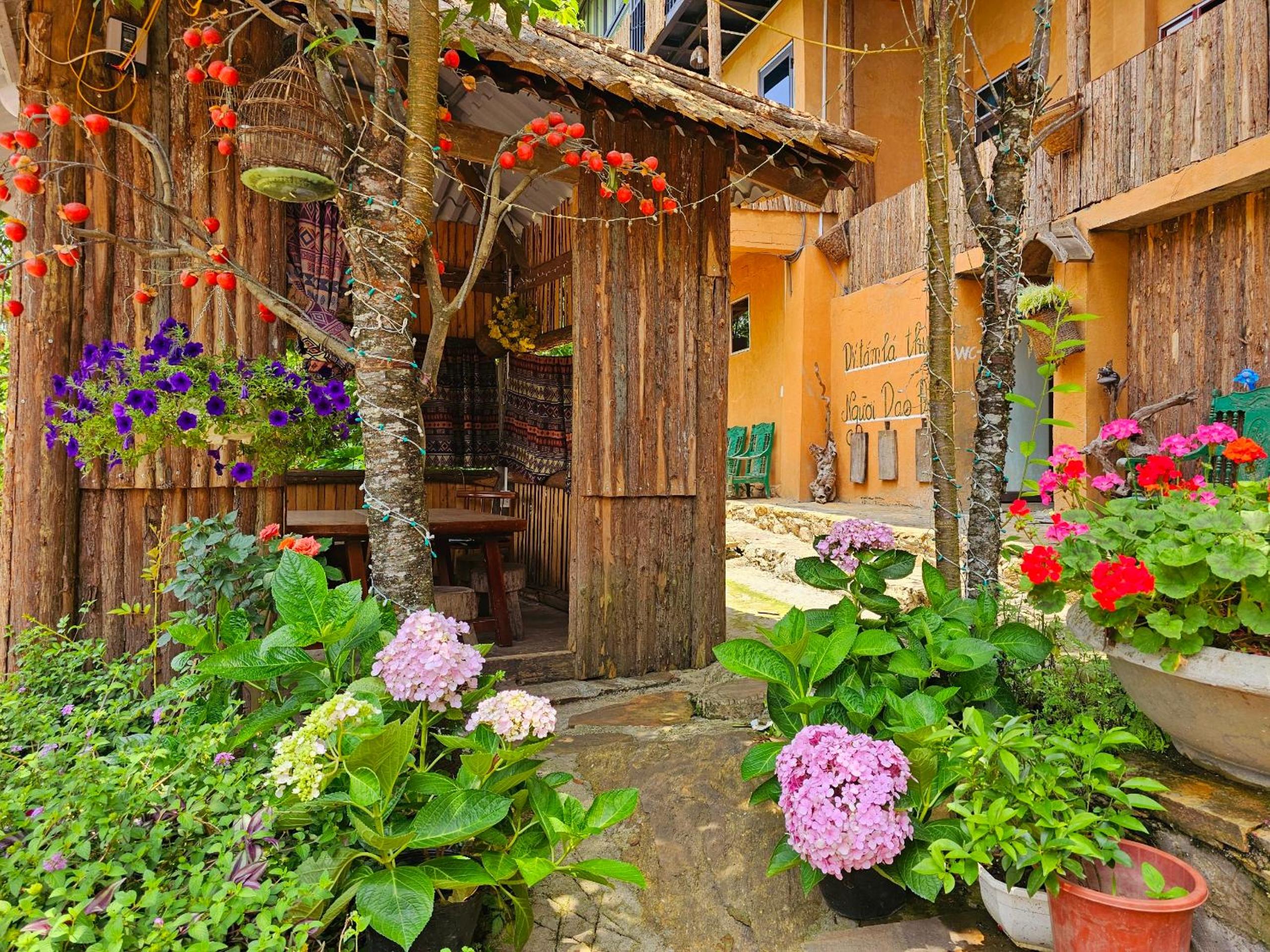 homestay y tý đại ngàn - lào cai view 4