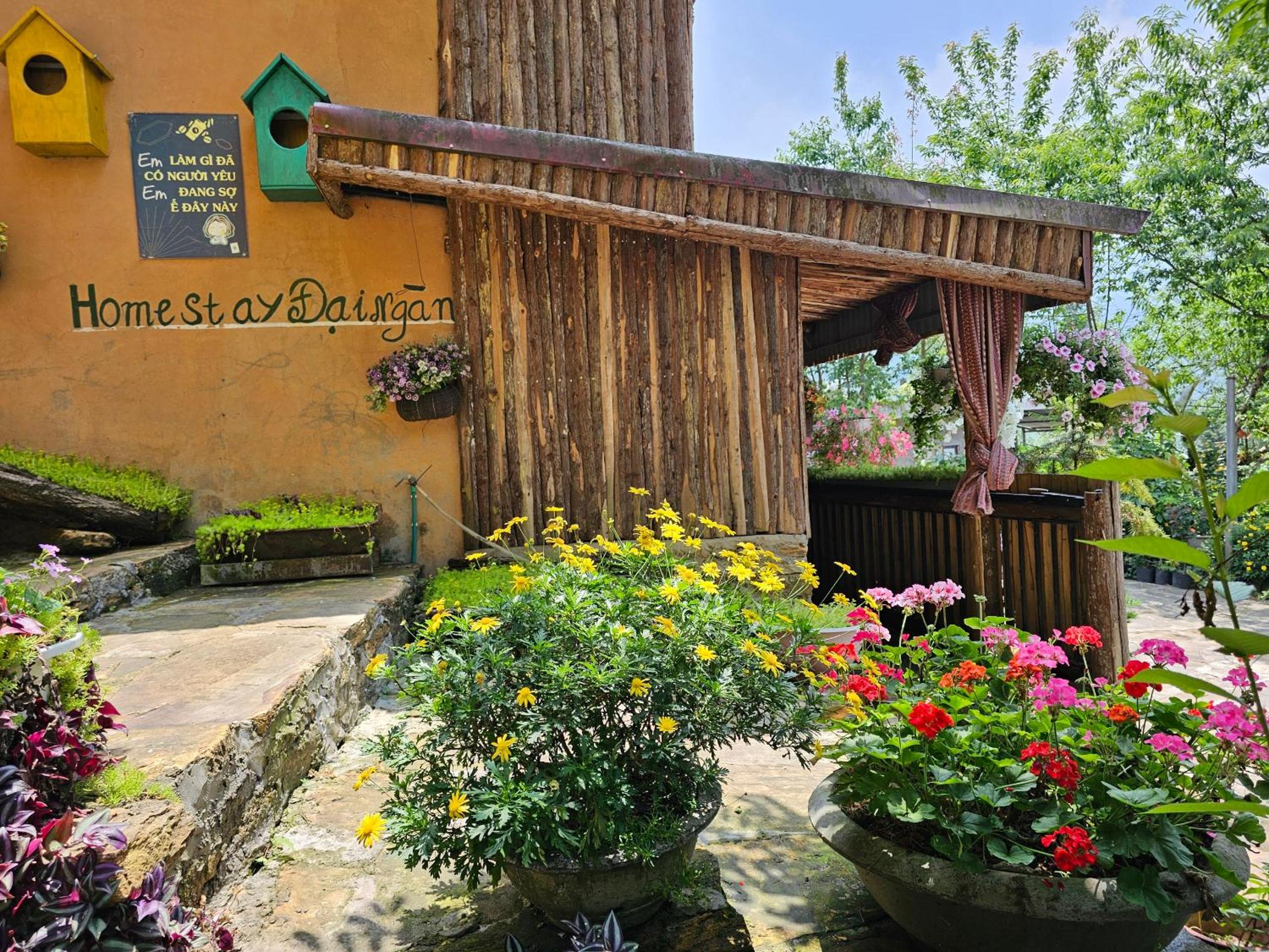homestay y tý đại ngàn - lào cai view 5
