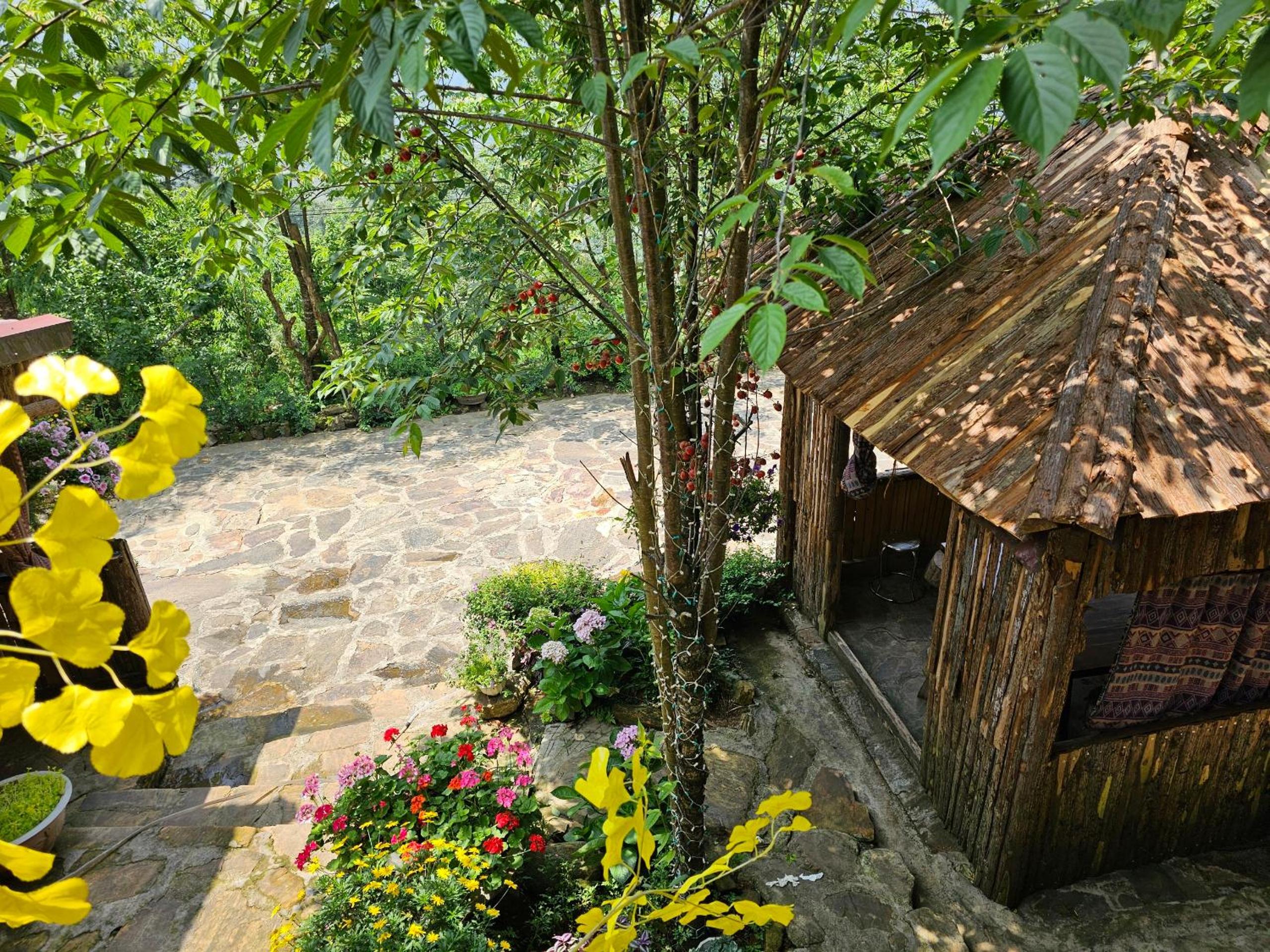 Photo 10