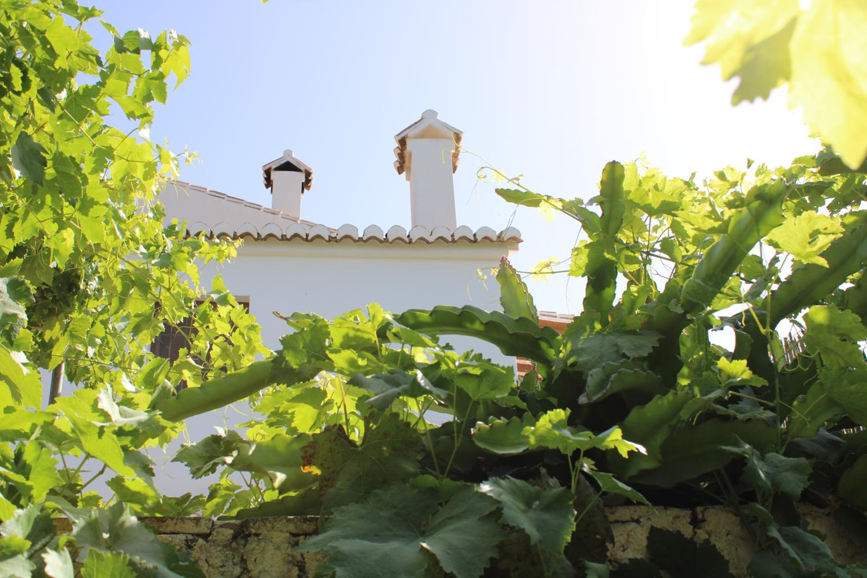 Casa Rural Bellavista