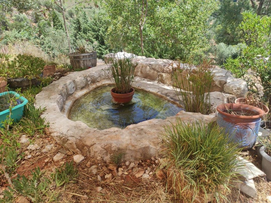 Lori's country home