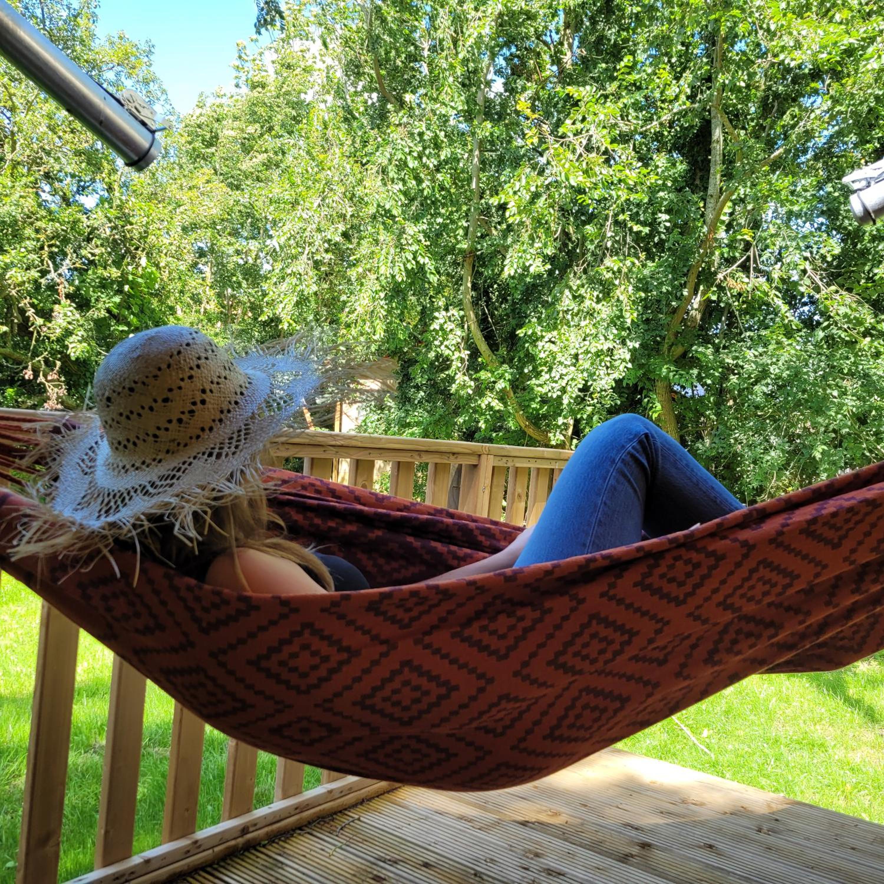 Ecolodges De Dreef view 4