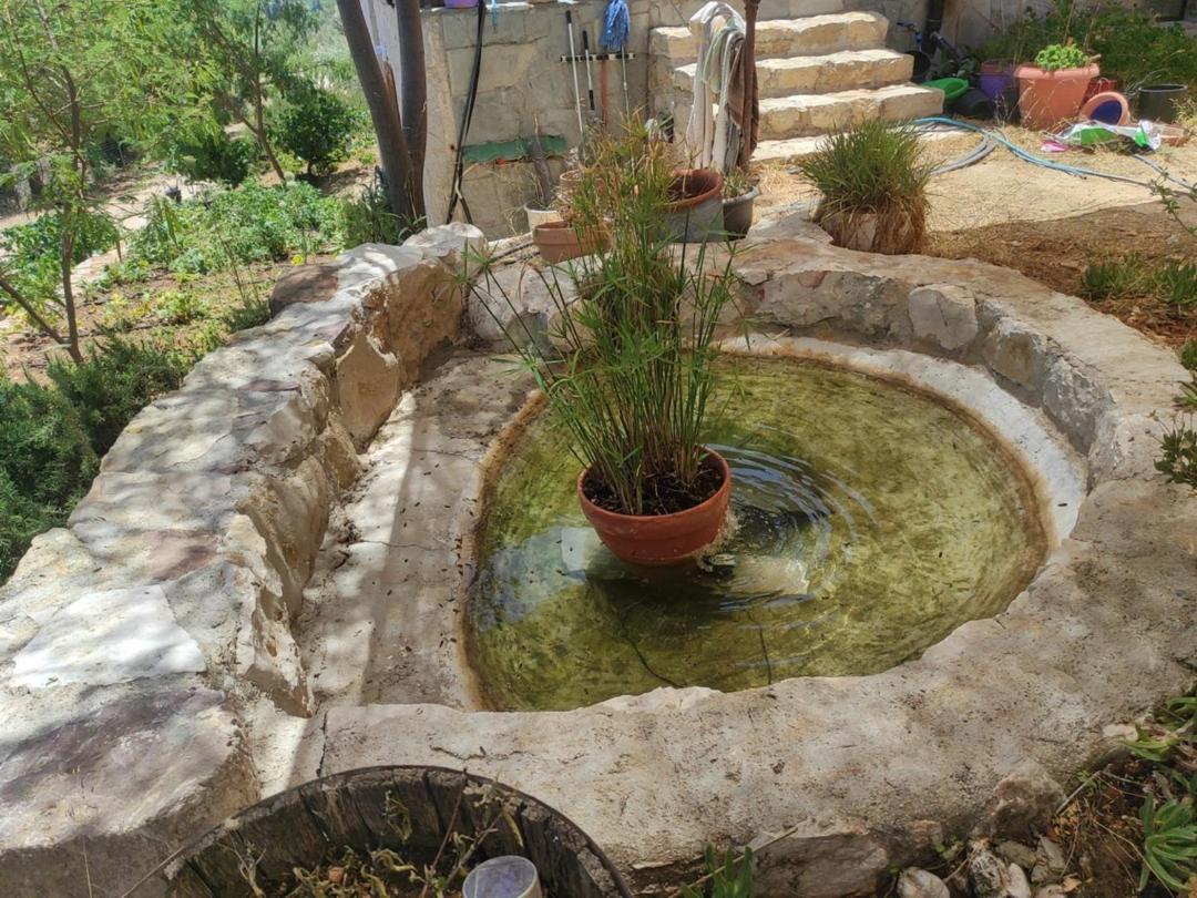 Lori's country home