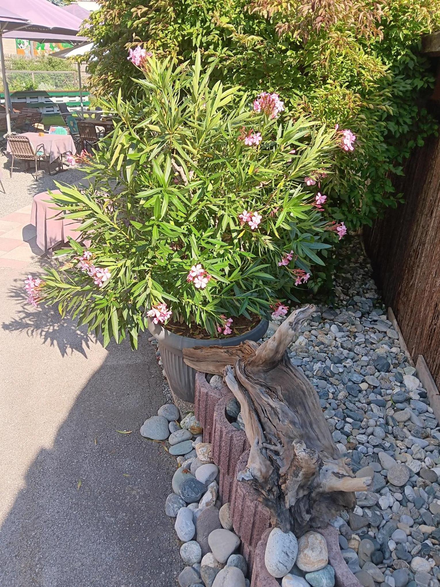 Photo 26