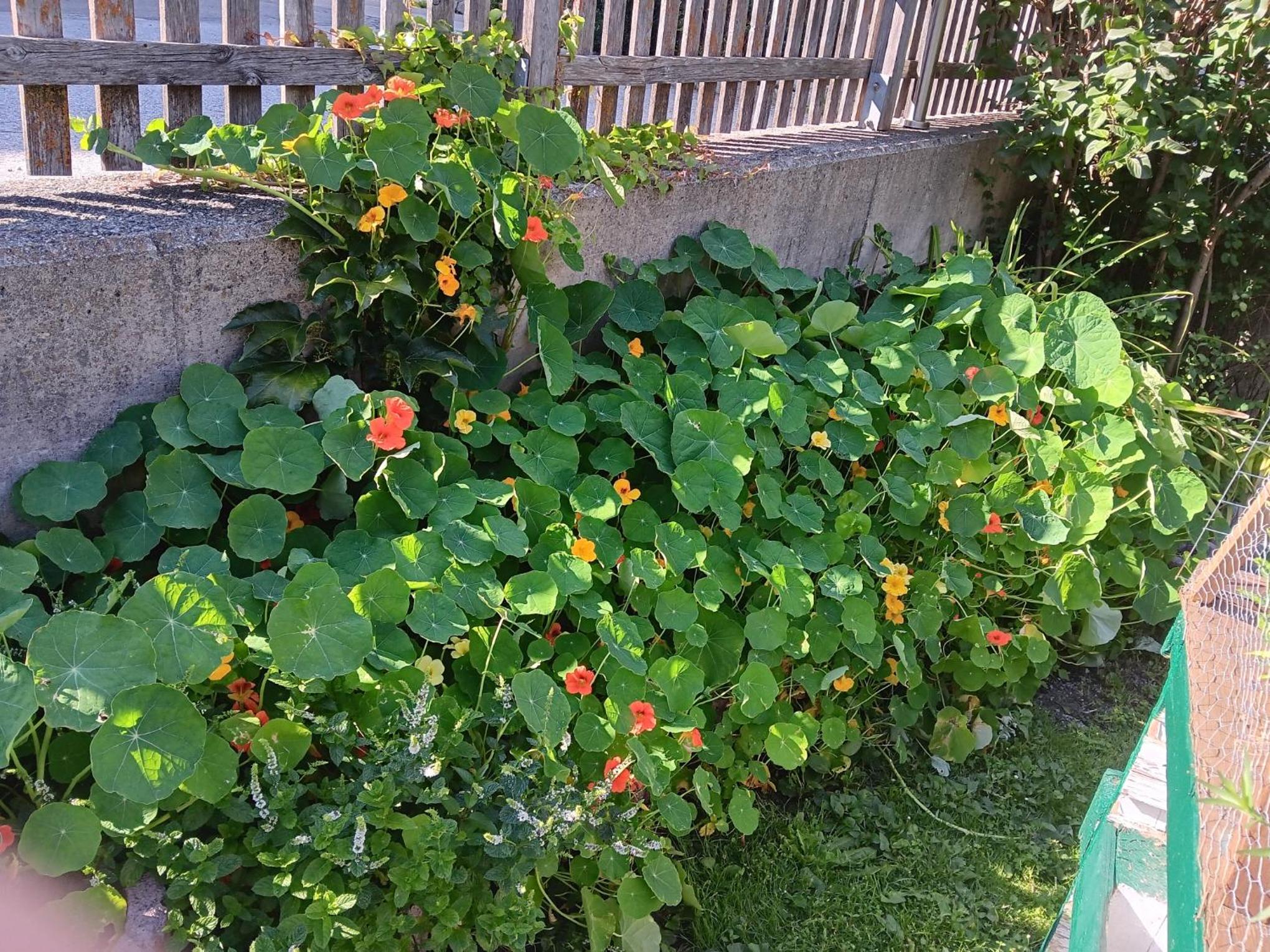 Photo 20