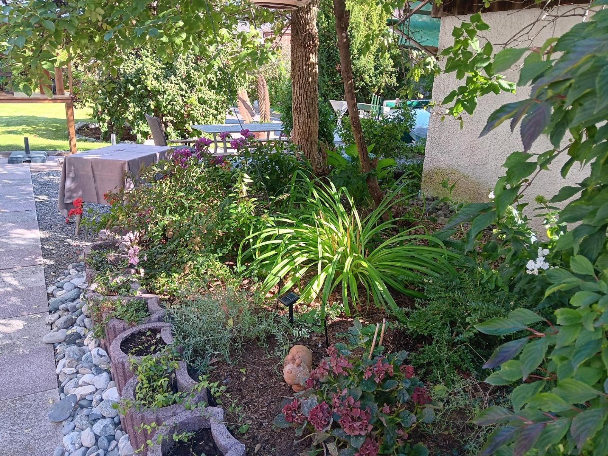 Photo 21