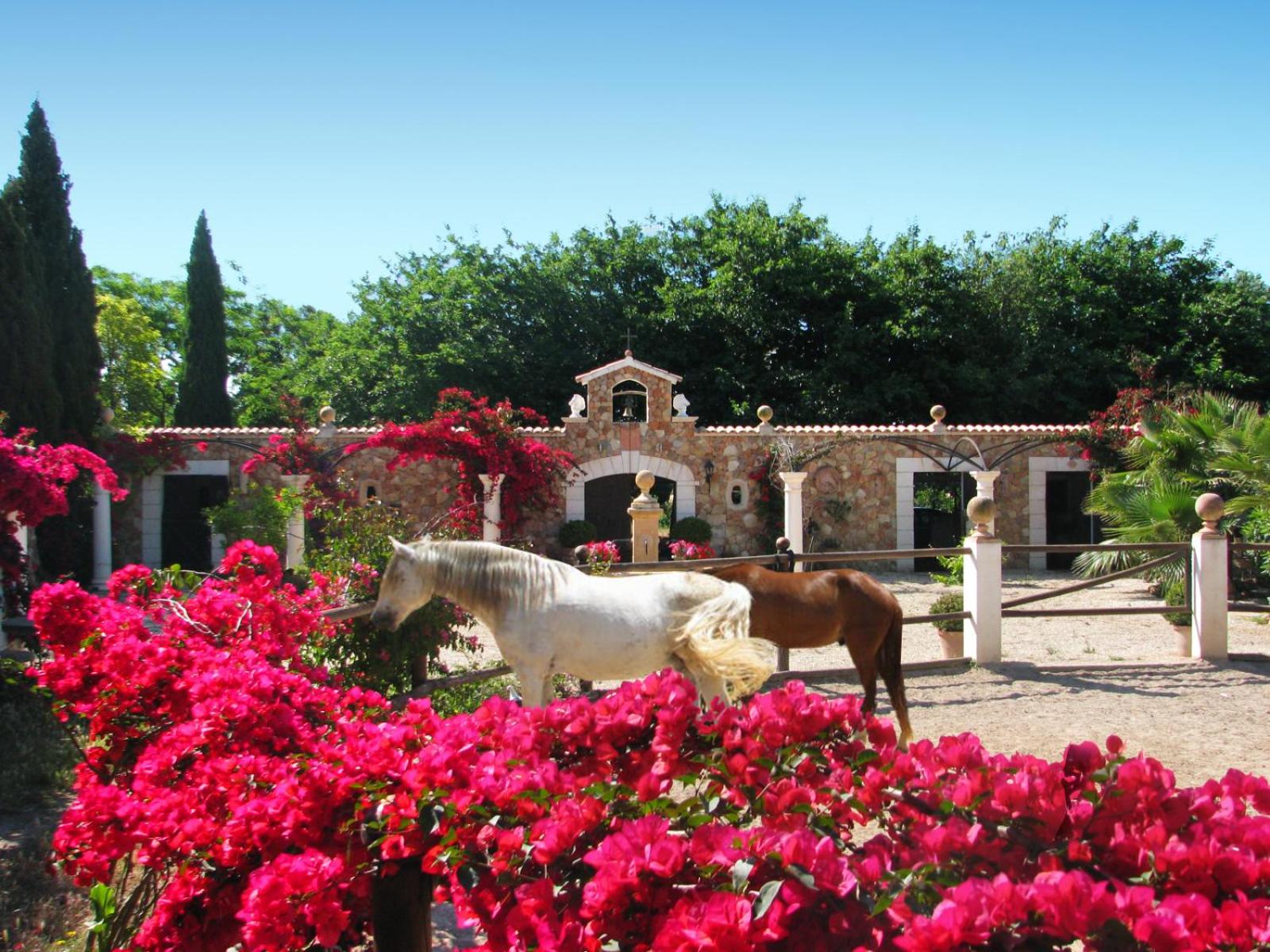 Finca Santa Lucia