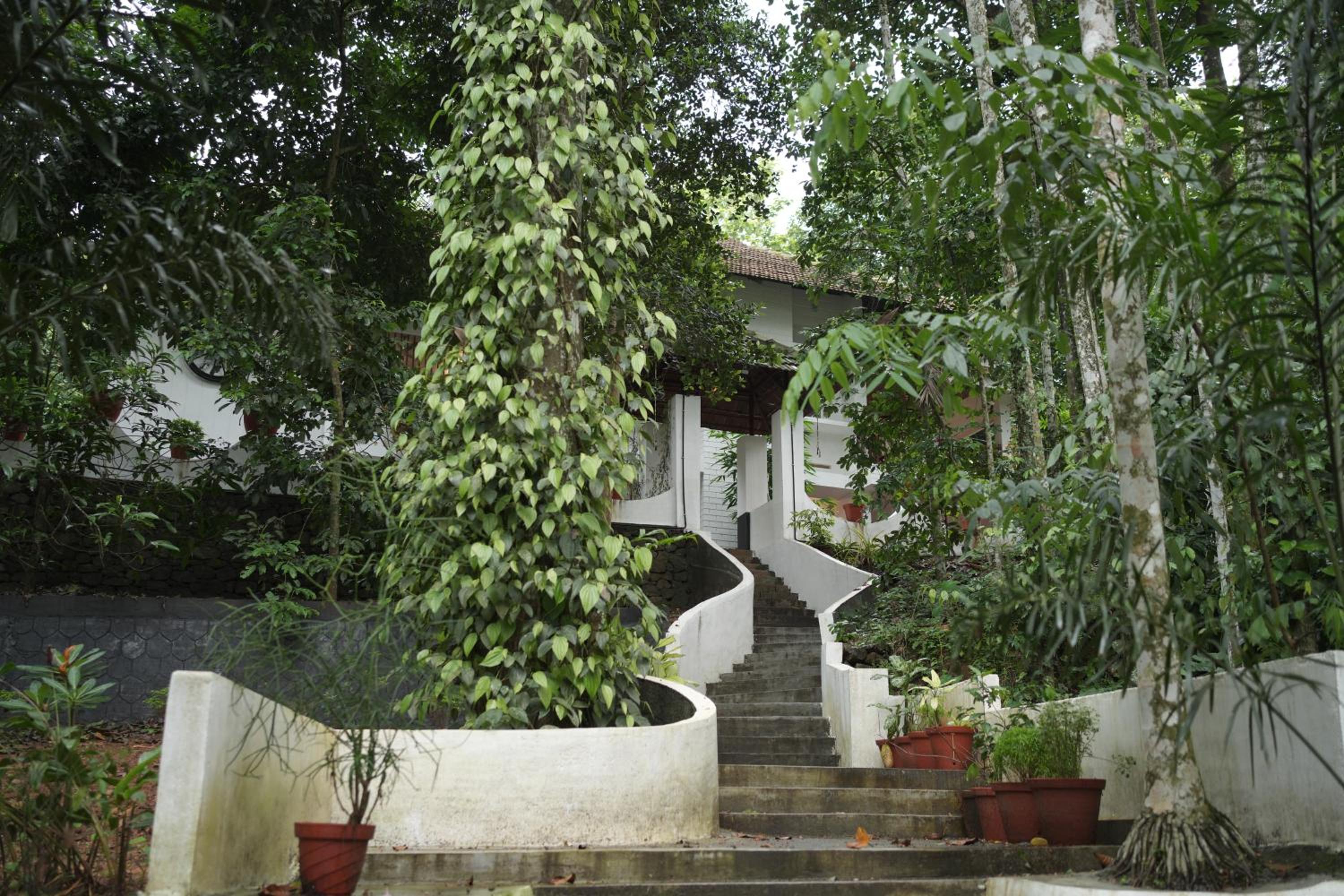 Vintage valley Heritage home