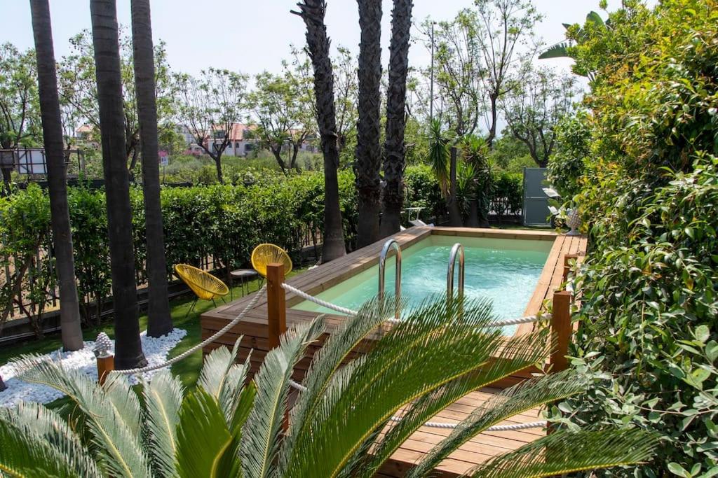 Angheli garden & pool photo 2