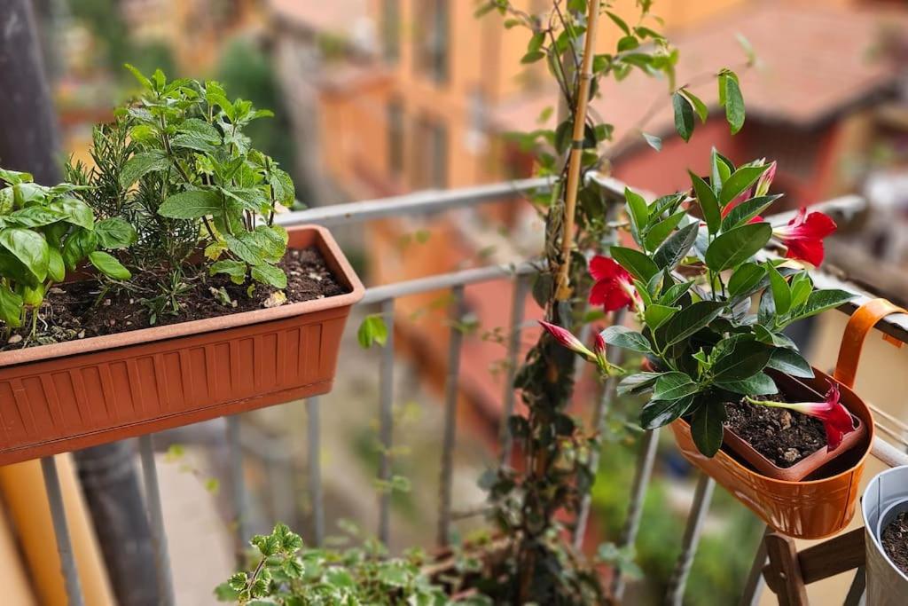 Appartamento in centro con vista sul canale
