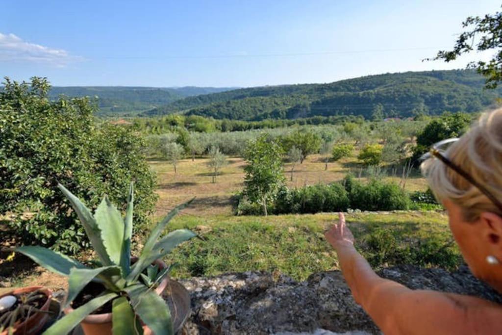 Green cottage Baredi, Izola, Slovenia view 3