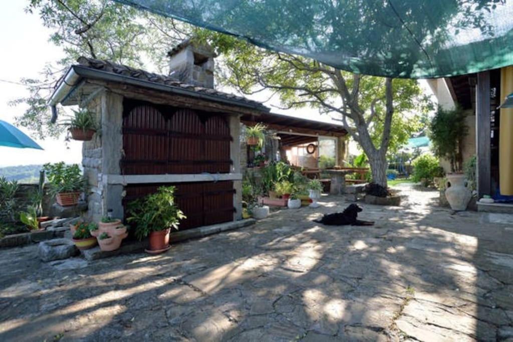 Green cottage Baredi, Izola, Slovenia view 4
