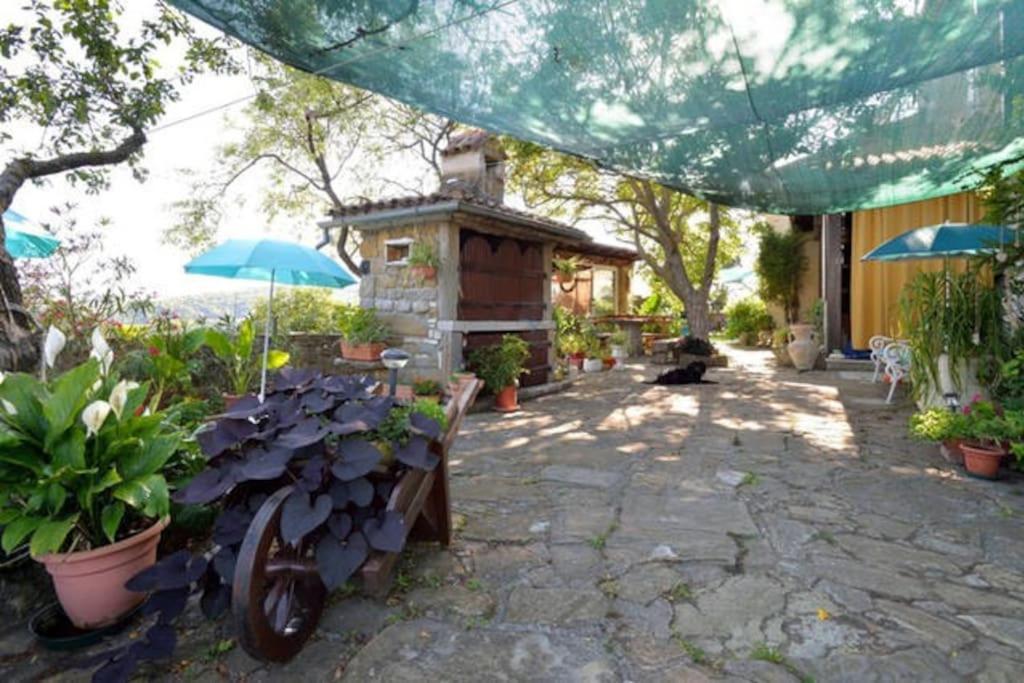 Green cottage Baredi, Izola, Slovenia view 5