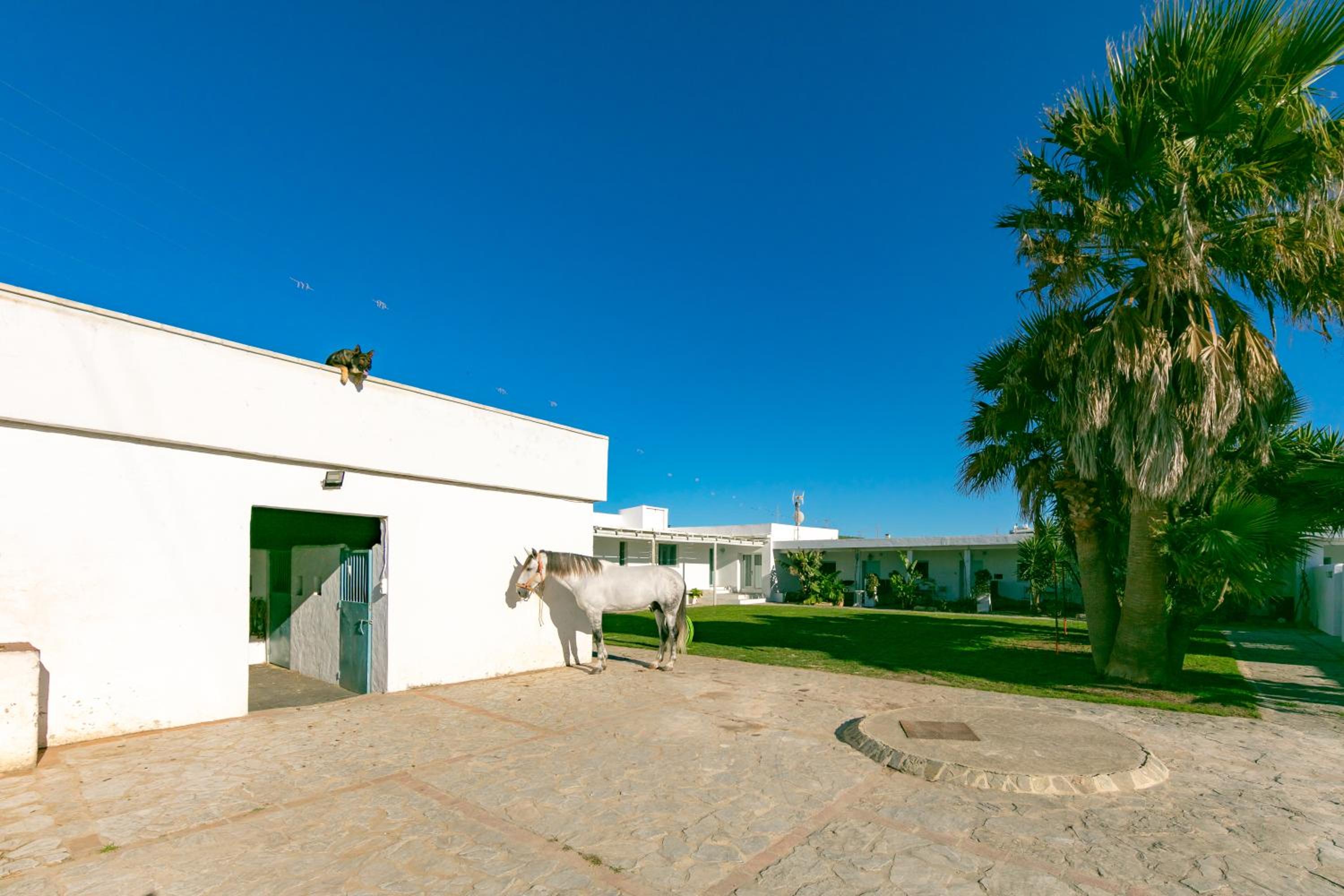 Casa rural con terraza privada III