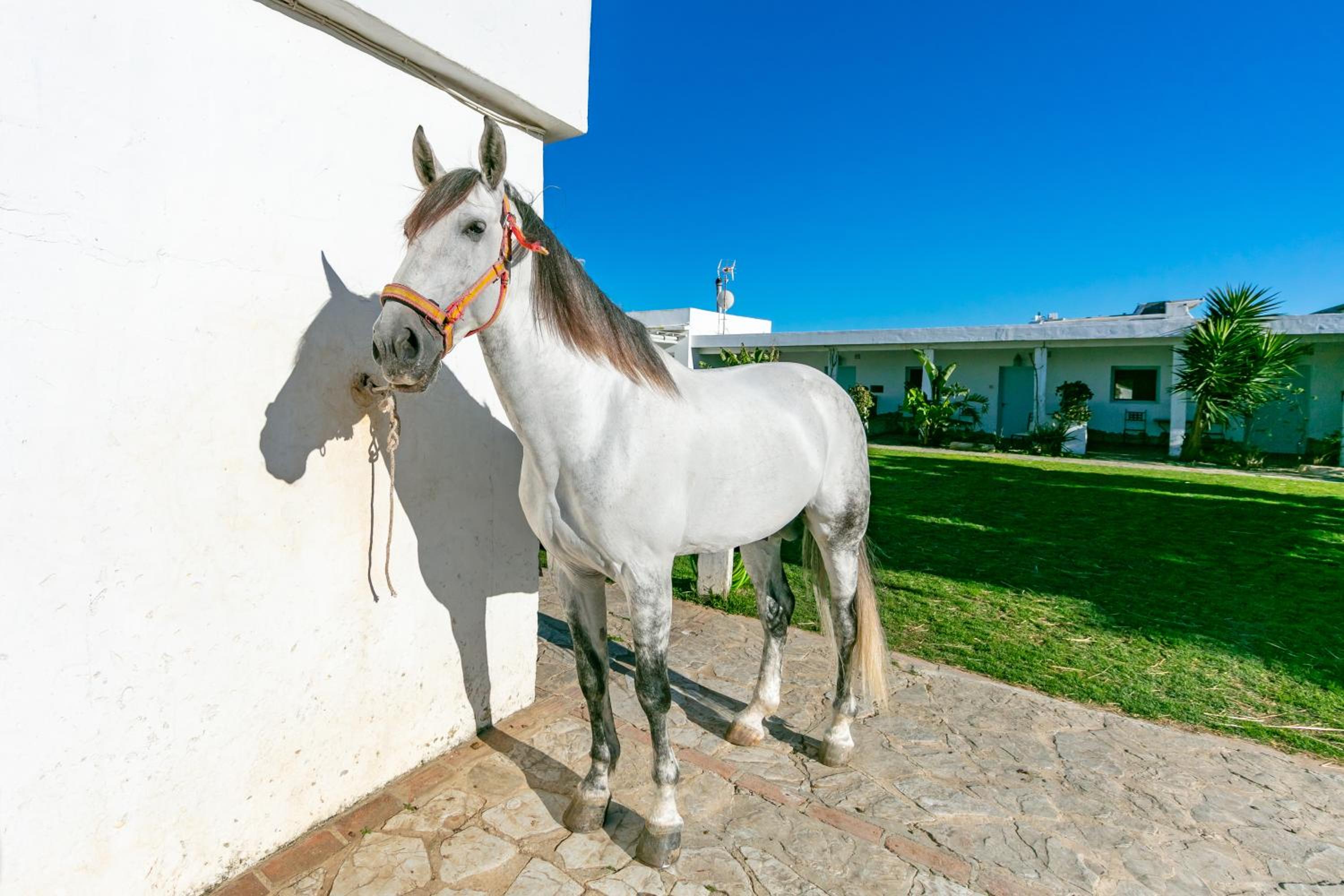 Casa rural con terraza privada III