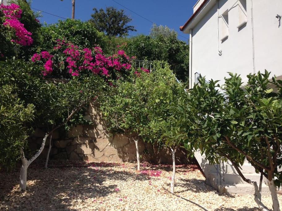 Lagada-Chios