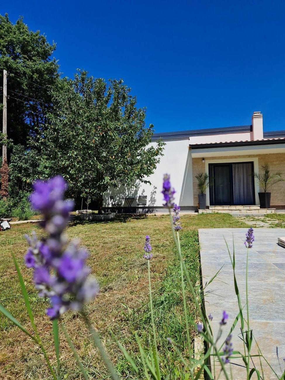 Villa DE Luna Istra,whirlpool view 3