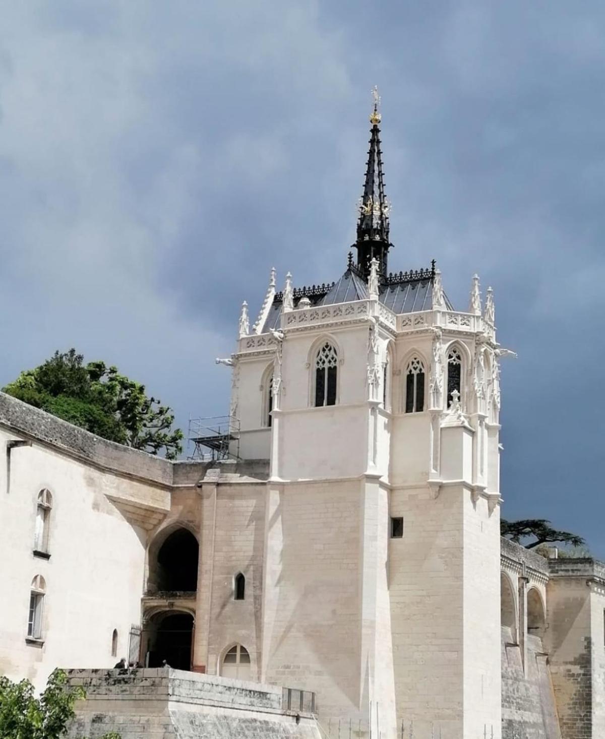 Home de Vitruve