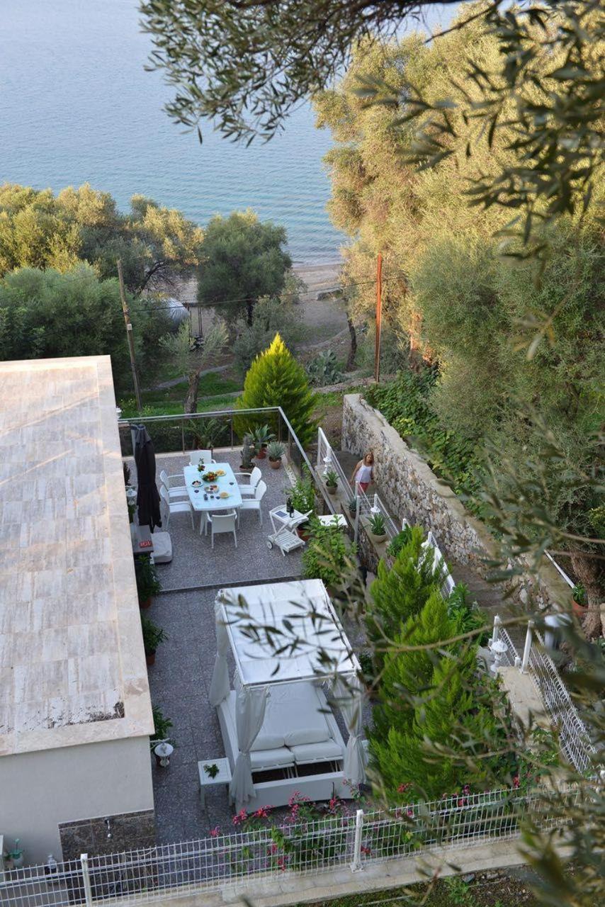 Villa Ada view 4